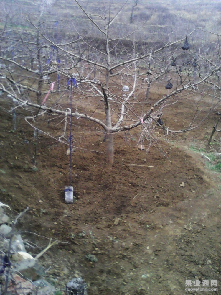 QQ图片20150404125758.jpg